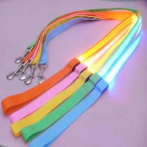 Nylon LED Light Up Dog Leash