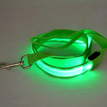 Load image into Gallery viewer, Nylon LED Light Up Dog Leash