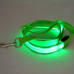 Nylon LED Light Up Dog Leash