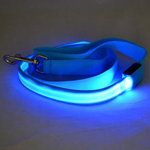 Load image into Gallery viewer, Nylon LED Light Up Dog Leash