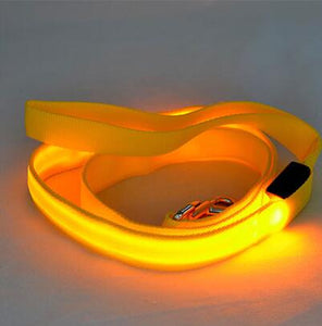 Nylon LED Light Up Dog Leash