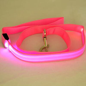 Nylon LED Light Up Dog Leash