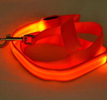 Load image into Gallery viewer, Nylon LED Light Up Dog Leash