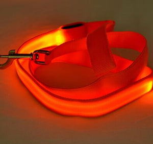 Nylon LED Light Up Dog Leash